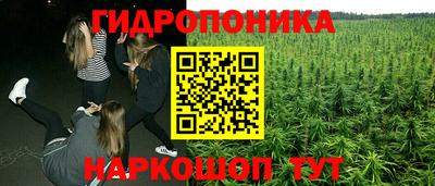 соль ск Новодвинск