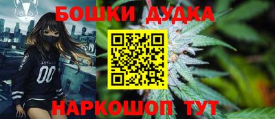 сатива Новокубанск