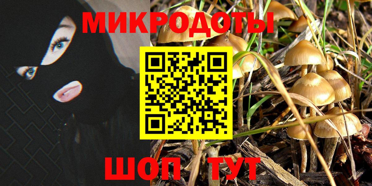 Псилоцибиновые грибы прущие грибы Туапсе
