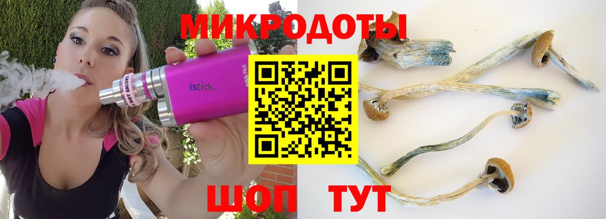Туапсе  Псилоцибиновые грибы Psilocybine cubensis  Галлюциногенные грибы Psilocybe  Вход с VPN 